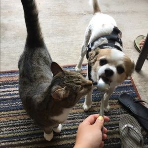 Meet your Posher, Angela